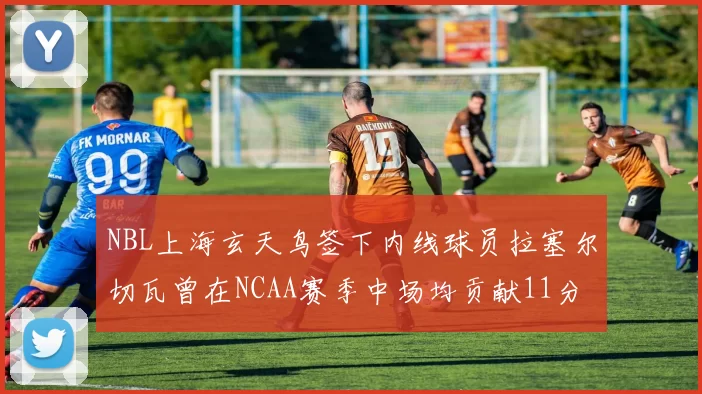 NBL上海玄天鸟签下内线球员拉塞尔切瓦曾在NCAA赛季中场均贡献11分8篮板